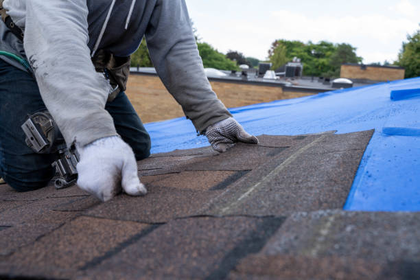Quick and Trustworthy Emergency Roof Repair Services in Donaldsonville, LA